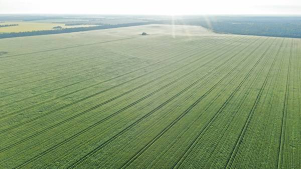 3531 Goodar Road , Goodar QLD 4390