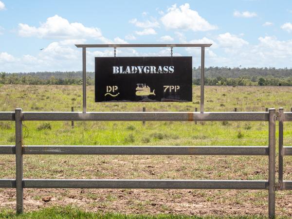 'Blady Grass', Taroom QLD 4420