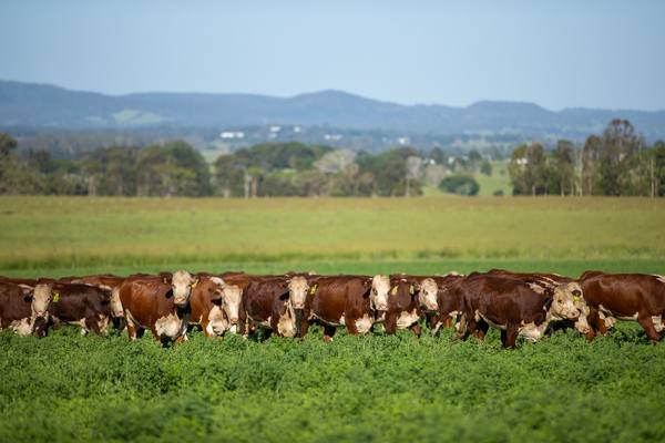 4145 Bruxner Highway, Casino NSW 2470