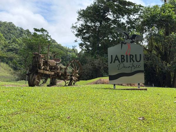39 Upper Daintree Road, Stewart Creek Valley QLD 4873