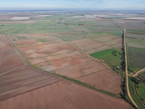 Wood Road, Coleambally NSW 2707