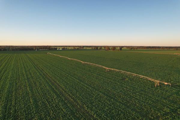7600 Murray Valley Highway, Tongala VIC 3621