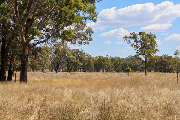 33801 Carpricorn Highway, Willows Gemfields QLD 4702