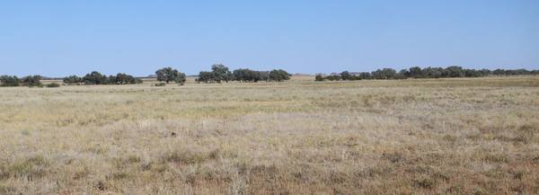 Flodden Hills, Windorah QLD 4481
