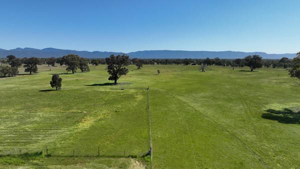 33 Bellellen Saleyards Road, Bellellen VIC 3381