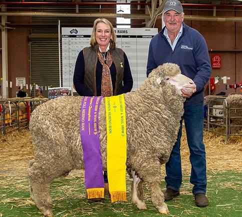 Trefusis 41st Annual Merino & Poll Ram Sale