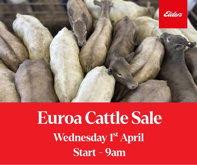  Euroa April Store Sale – North East Store Sale Centre