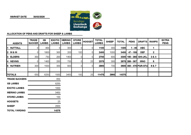 Bendigo Livestock Exchange: 11,250 Head – Monday, March 30, 2026