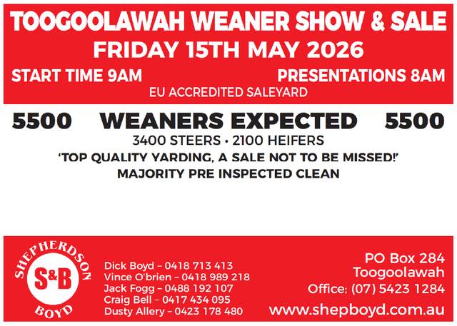Shepherdson & Boyd Toogoolawah Weaner Show & Sale – 5,500 Head