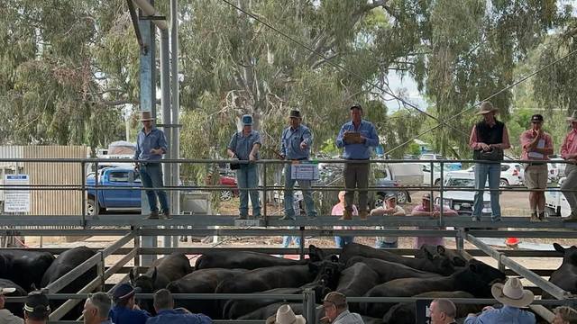 North East Store Sale Centre Euroa Store Sale