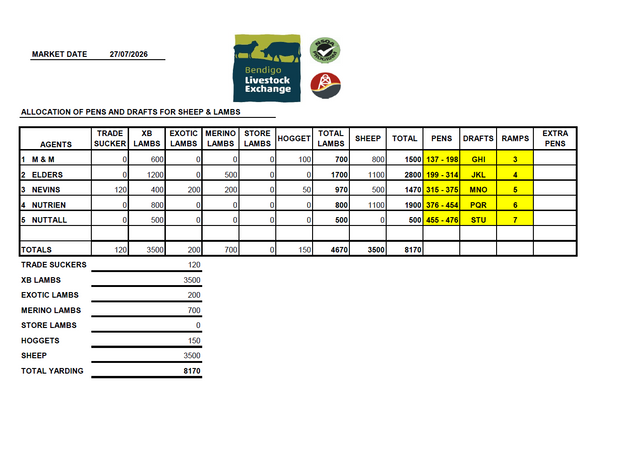 Bendigo Livestock Exchange Weekly Sheep & Lamb Sale – 8,170 Head