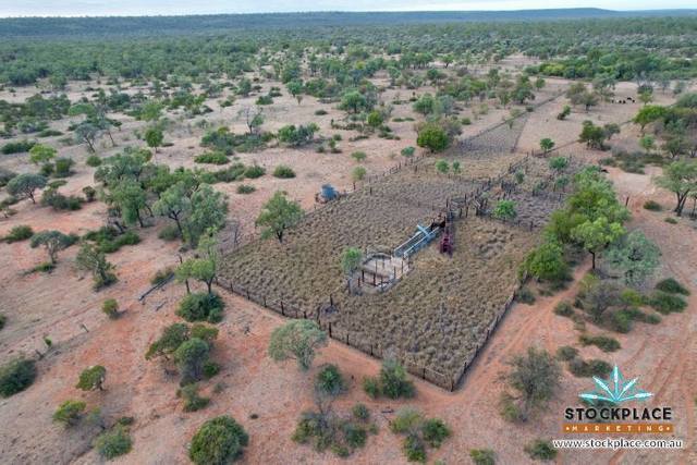 "Glendower", Prairie QLD 4241