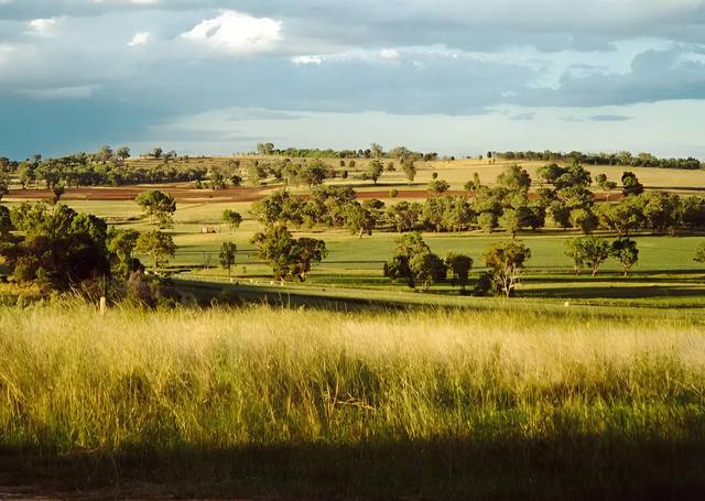 2200 Ashford Road, Bukkulla NSW 2360