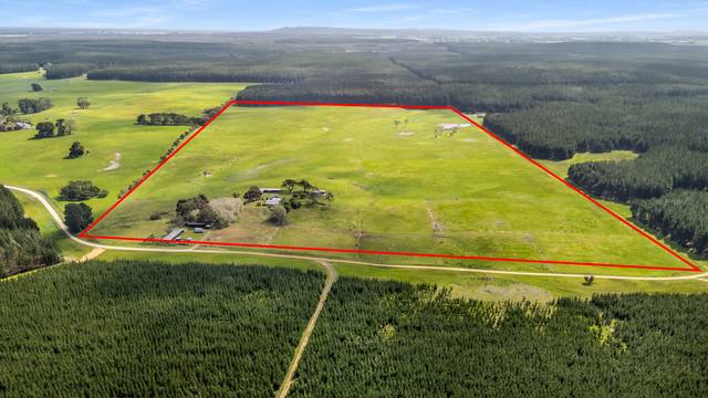 77 Furness Road, Wandilo SA 5291