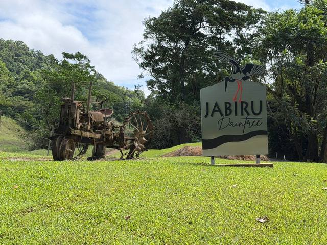 39 Upper Daintree Road, Stewart Creek Valley QLD 4873