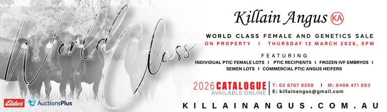 Killain Angus Female and Genetics Sale (Second Edition)