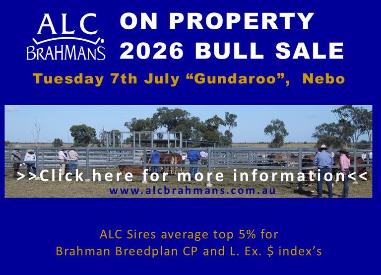 ALC On-Property 2026 Bull Sale