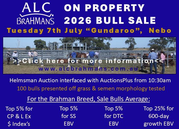 ALC On-Property 2026 Bull Sale