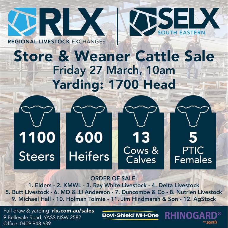 SELX South Eastern Weaner & Store Sale – 1,500 Head