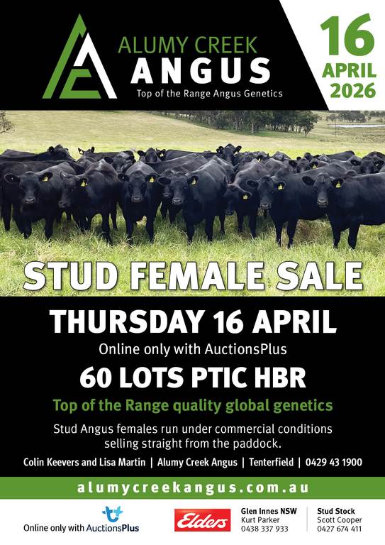 ALUMY CREEK ANGUS PTIC STUD FEMALE SALE 