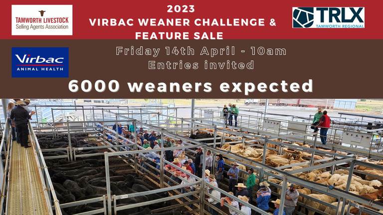 Virbac Weaner Challenge & Feature Sale – 6,000 Head Cattle