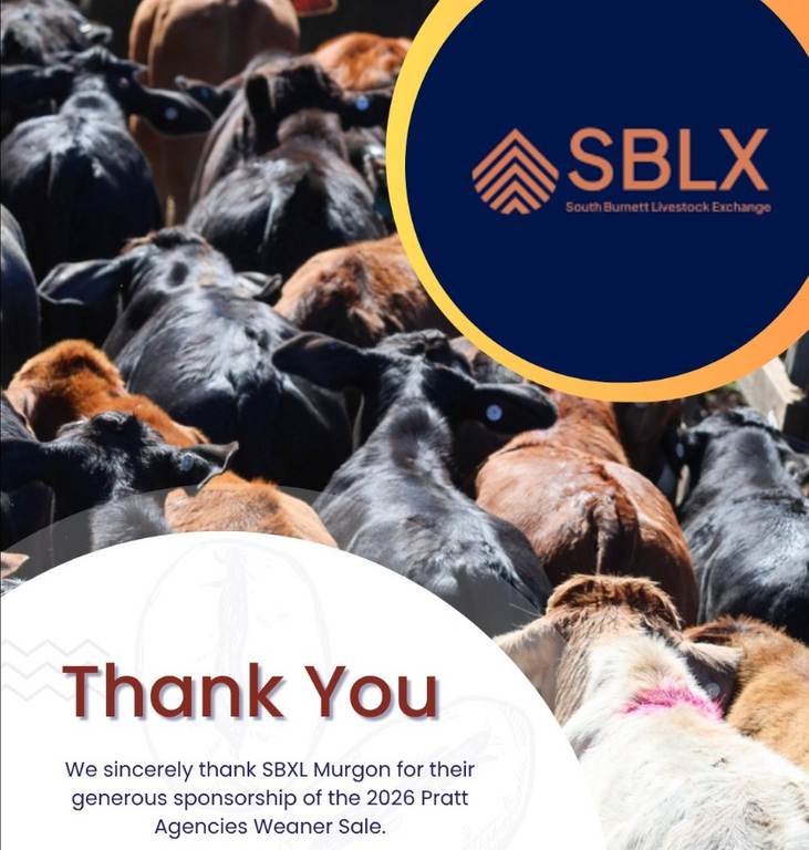 Pratt Agencies Annual Weaner Show & Sale 1000 Cattle