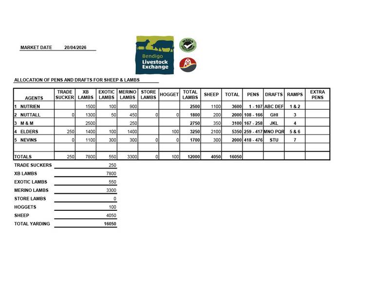Bendigo Livestock Exchange – 16,050 Head Sheep & Lamb Sale | 20 April 2026