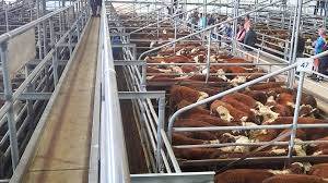 Bairnsdale Store Sale