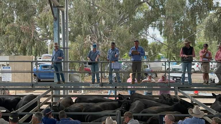 North East Store Sale Centre Euroa Store Sale