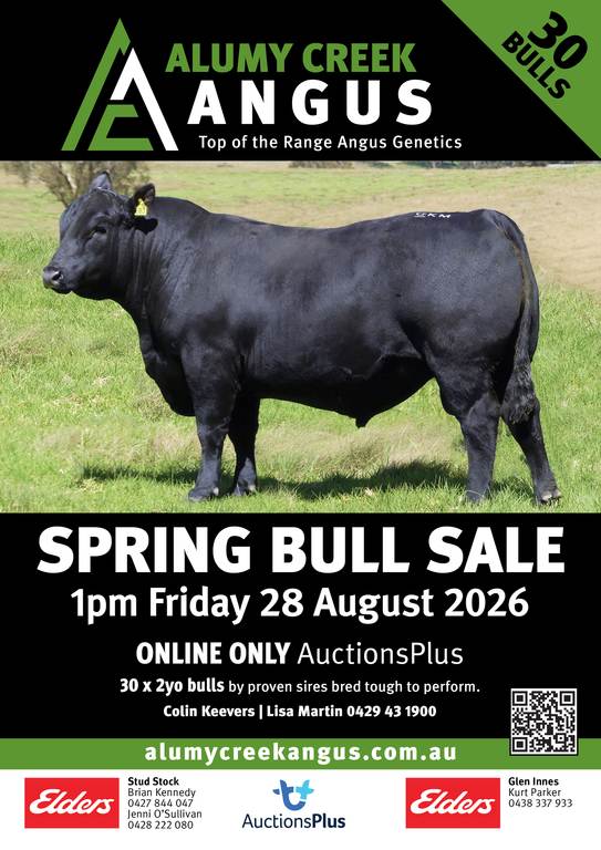 ALUMY CREEK ANGUS ONLINE SPRING BULL SALE