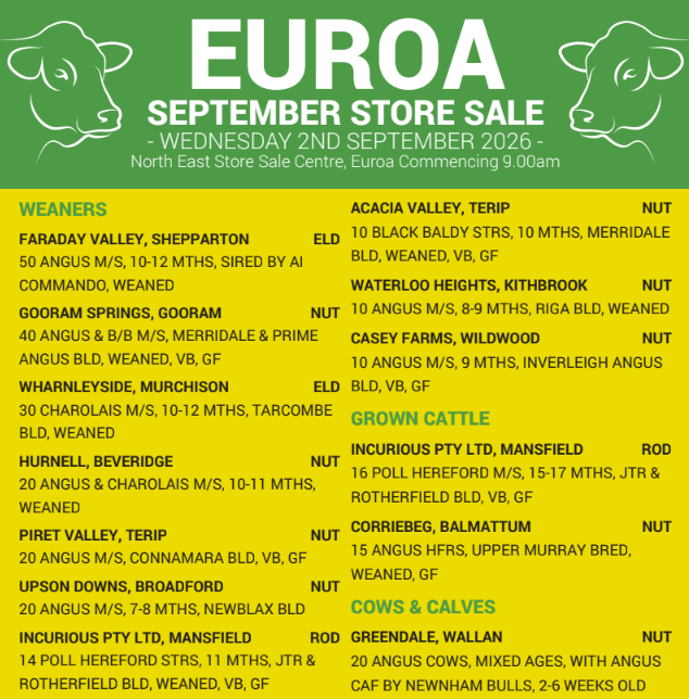Euroa North East Store Sale Centre September Store Sale – 380+ Head Cattle
