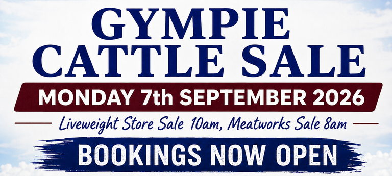 GYMPIE CATTLE SALE - MONDAY 7th SEPTEMBER 2026
