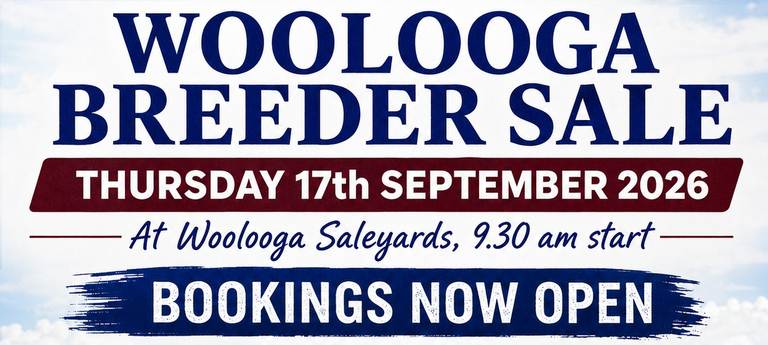WOOLOOGA FEMALE BREEDER SALE - THURSDAY 17th SEPTEMBER 2026