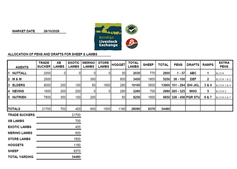 Bendigo Livestock Exchange Weekly Sheep & Lamb Sale - 34,460 Head