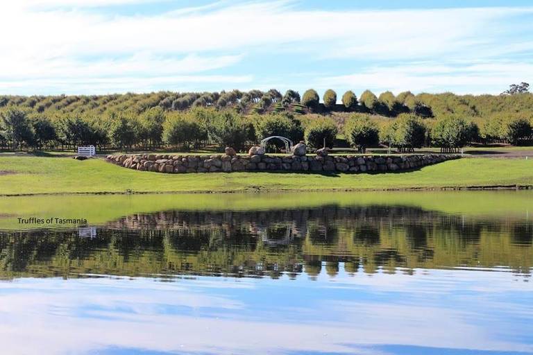 110 Trickett Rd, Needles TAS 7304
