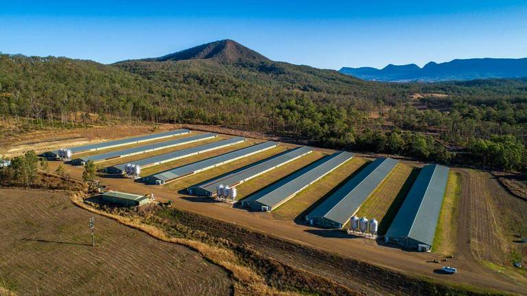 Aratula Broiler Farm, Aratula QLD 4309