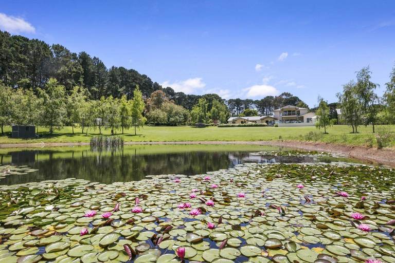 115 Punty Lane, Shoreham VIC 3916