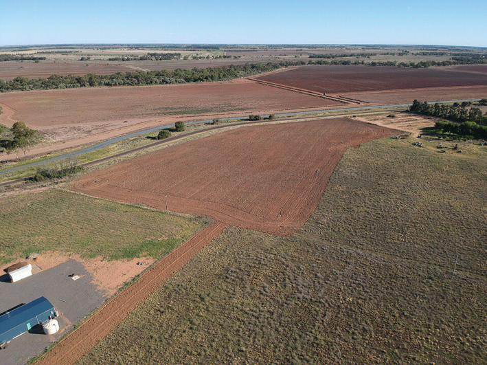 Pine Drive, Coleambally NSW 2707