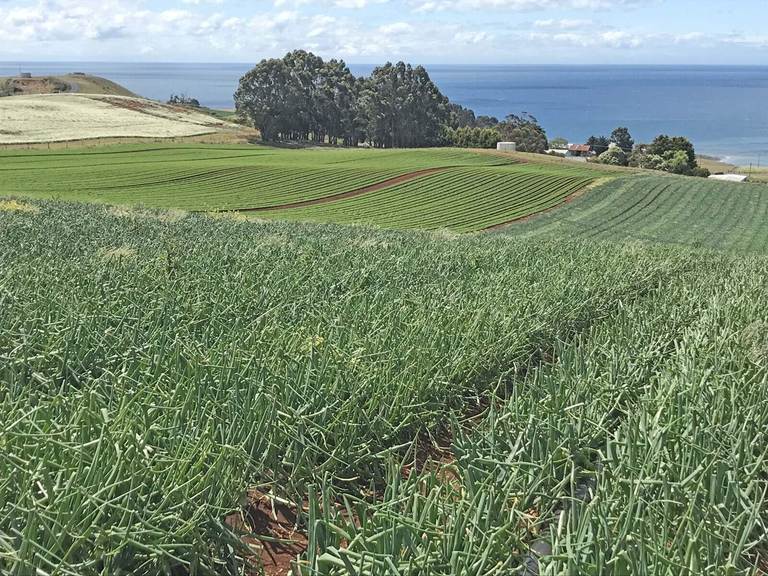 120 Pine Road & 189 West Ridge Road, Penguin TAS 7316