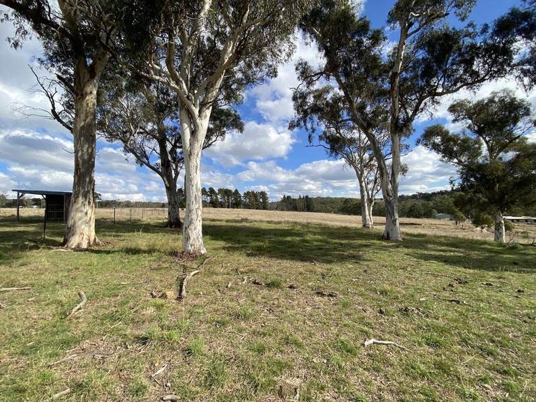 110 Thompson Creek Road, Portland NSW 2847