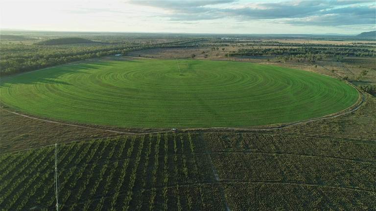 THF Portfolio, Rockhampton QLD 4700