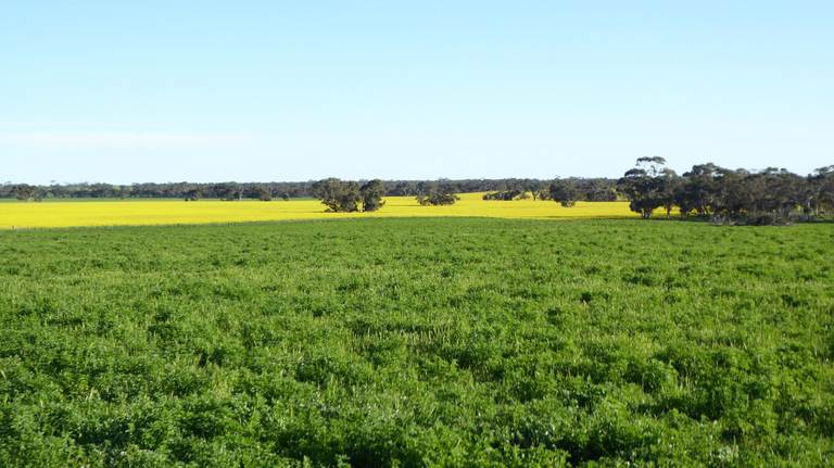 ***Under Offer***829 Red Bluff Road, Bordertown SA 5268