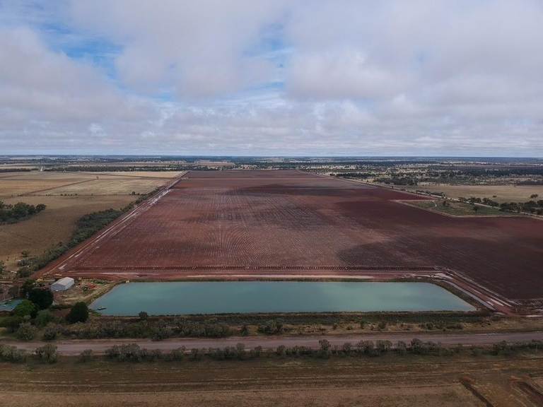 647 Ercildoune Road, Coleambally NSW 2707