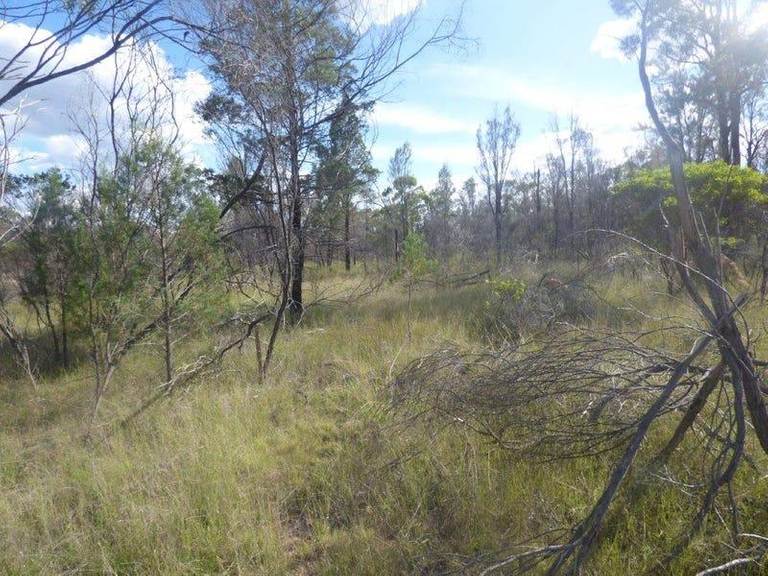 Lot 129 Harwoods Road, Tara QLD 4421