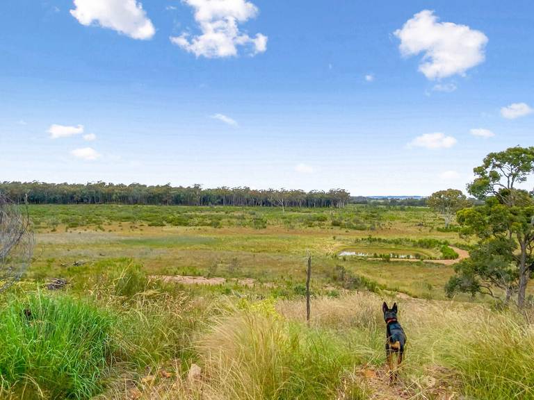 Cobbora NSW 2844