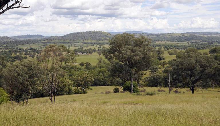 1520 Trevallyn Road, Barraba NSW 2347