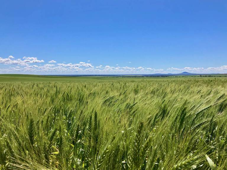 Mellburra Road, Narrabri NSW 2390