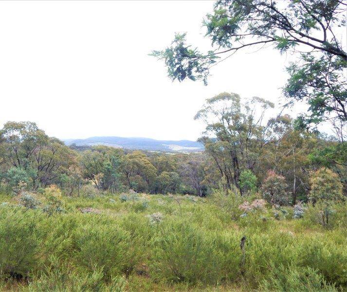 Lot 147 Tredegar Road, Bombala NSW 2632