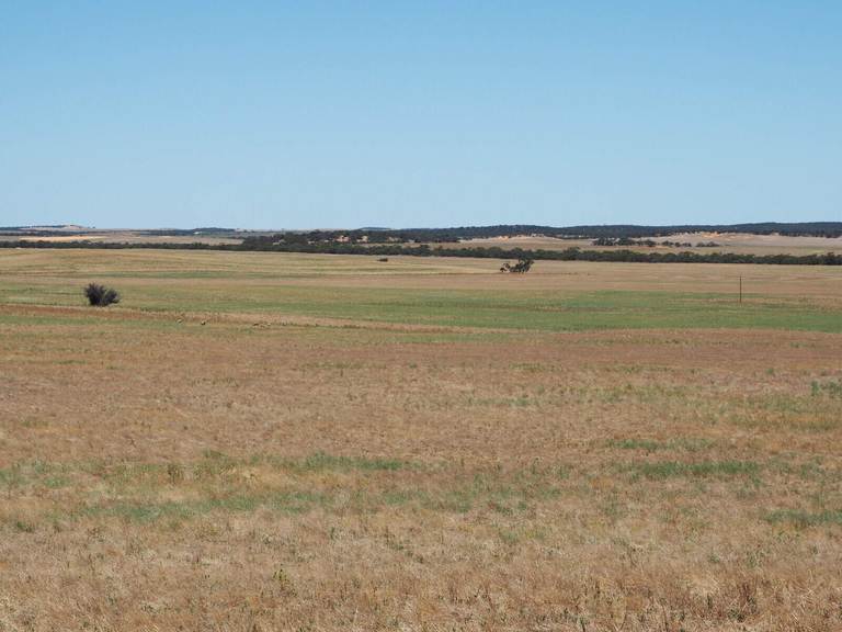 Sandalwood Road, Sandalwood SA 5309