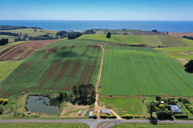 236 Pine Road, Penguin TAS 7316